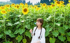 芭莎慈善夜直播在哪看